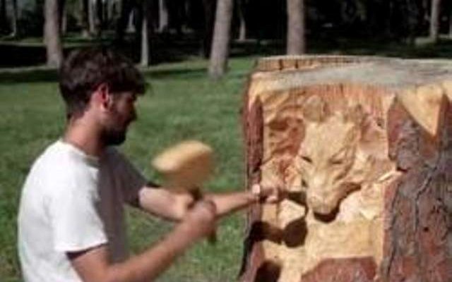 نحات إيطالي شاب يبلغ من العمر22 عاماً يحول جذوع الأشجار إلى تماثيل ومنحوتات فنية تجذب السياح -التيماء