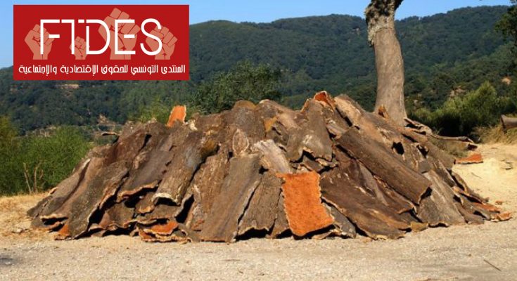 من أجل إنقاذ رئة الأرض: غابات تونس تستغيث-التيماء